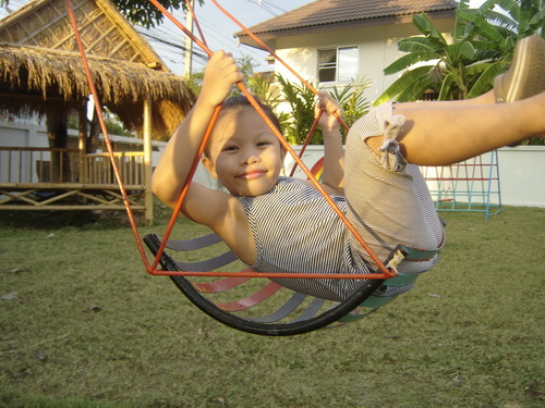 เล่นของเล่น เล่นของเล่น